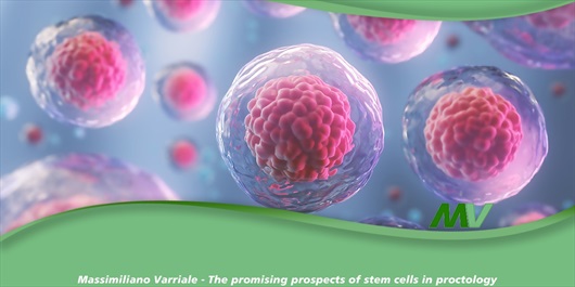 The promising prospects of stem cells in proctology: Potential applications and challenges ahead