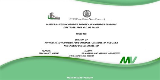 MASTER II LIVELLO CHIRURGIA ROBOTICA IN CHIRURGIA GENERALE&#8203; DIRETTORE: PROF. G.D. DE PALMA&#8203;